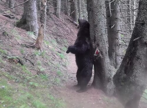 Parcul Național Piatra Craiului