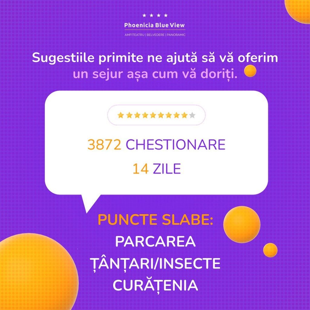 Phoenicia Blueview