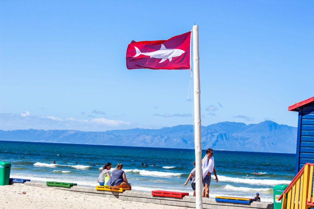 sursa Shark Spotters