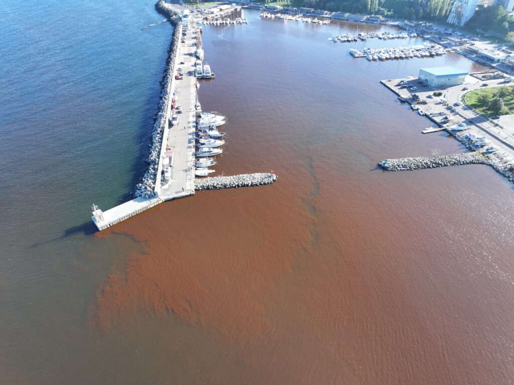 Institutul National de Cercetare-Dezvoltare Marina "Grigore Antipa" INCDM
