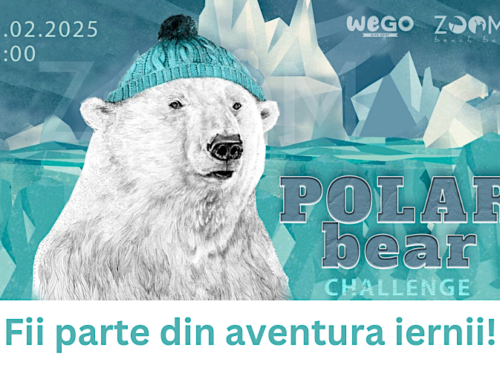 Polar Bear Challenge