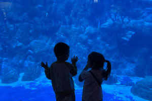 Ponturi reale și experiențe trăite la Hong Kong Ocean World, Hong Kong